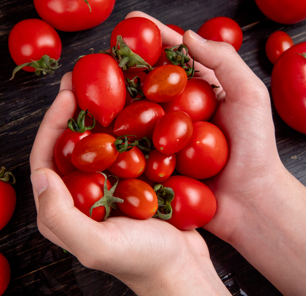 Trasformazione del pomodoro biologico: IoT e deep learning
